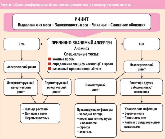 Аллергический ринит