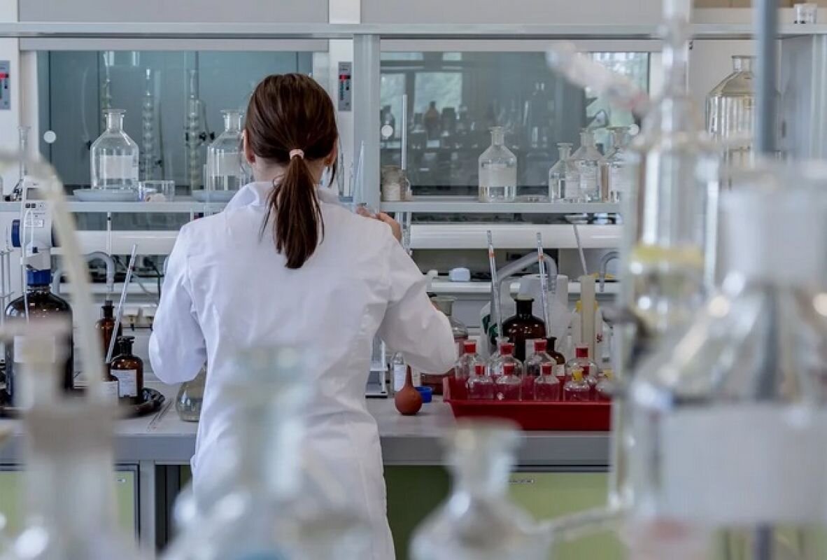 Автор фото: pixabay.com