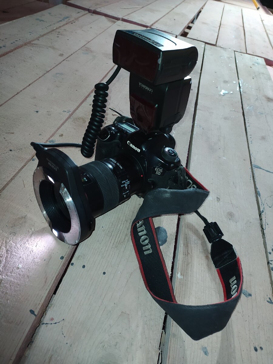 На моём пятаке и макро сотке