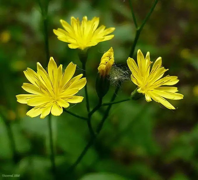 Фото Сергея Апполонова