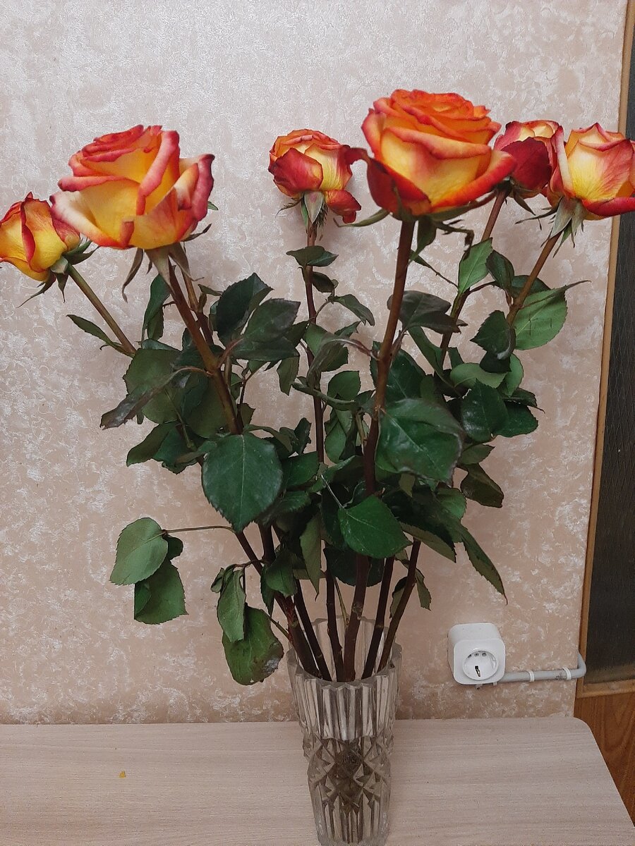 Все фото автора