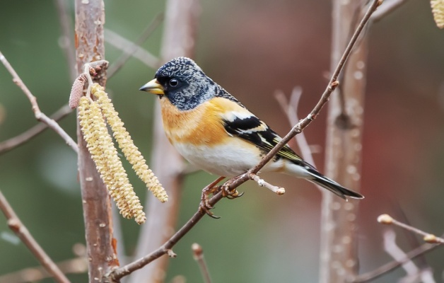 Фото из собственного архива 