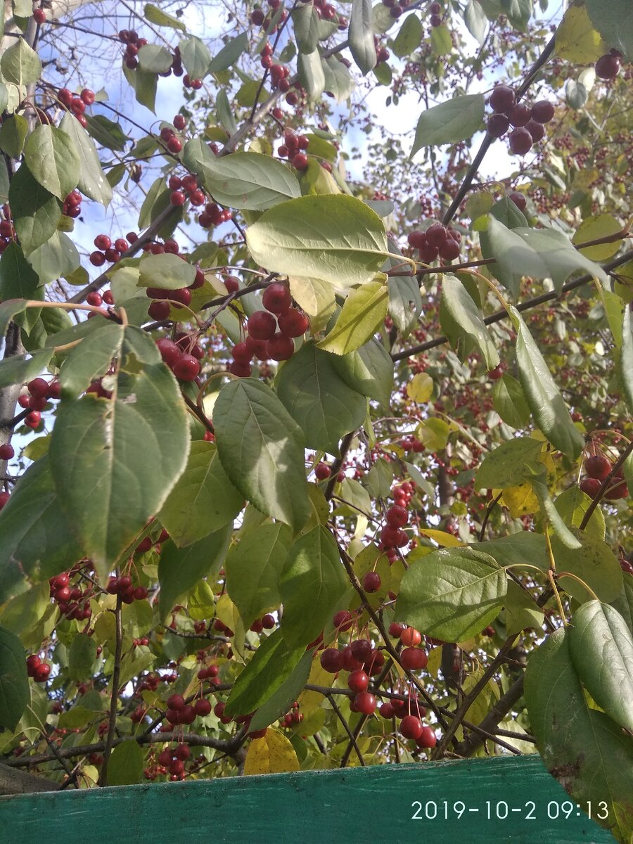 Чайно-кофейные посиделки.