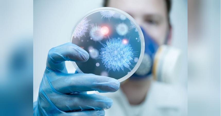 фото из открытого источника