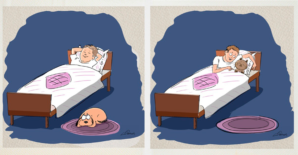 сравнение котов и собак. отличие кошек от собак. принцип кошкости. комикс про кота и собаку.