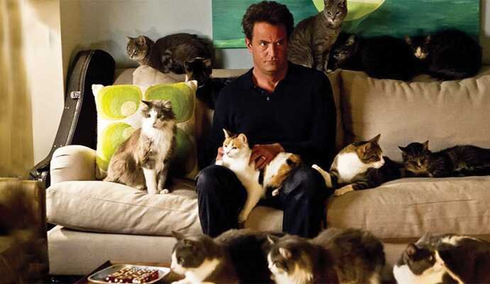 Токсоплазма в мозге хозяина требует завести больше котиков.Эти бактерии-пришельцы, передающиеся к нам от кошачьих, могут менять наше поведение