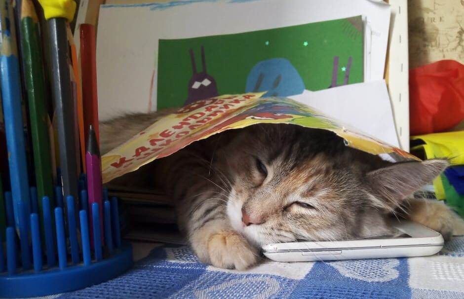 Выспаться всегда успеем