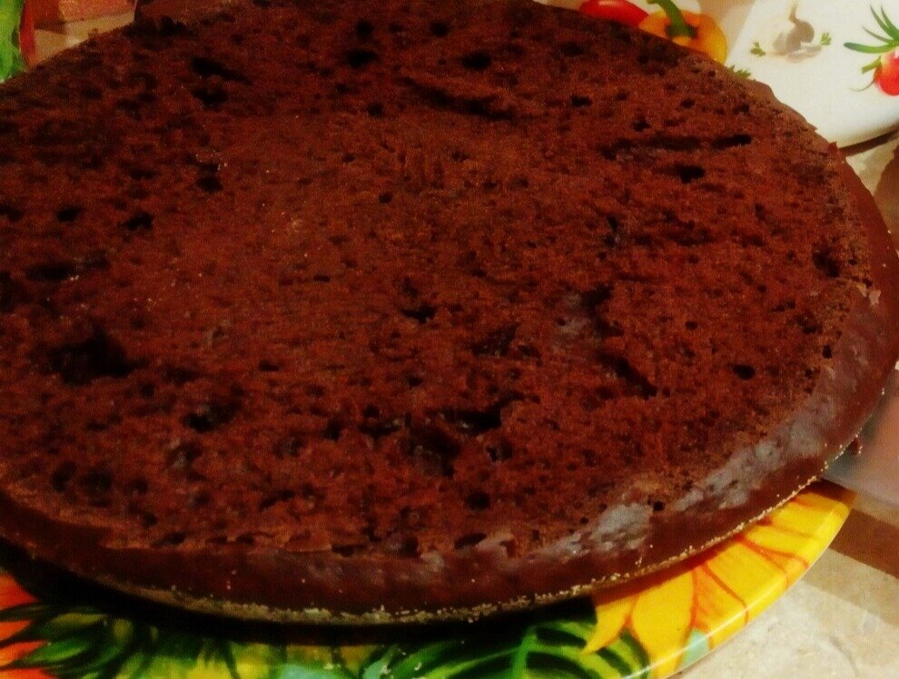 Шоколадный корж  в разрезе