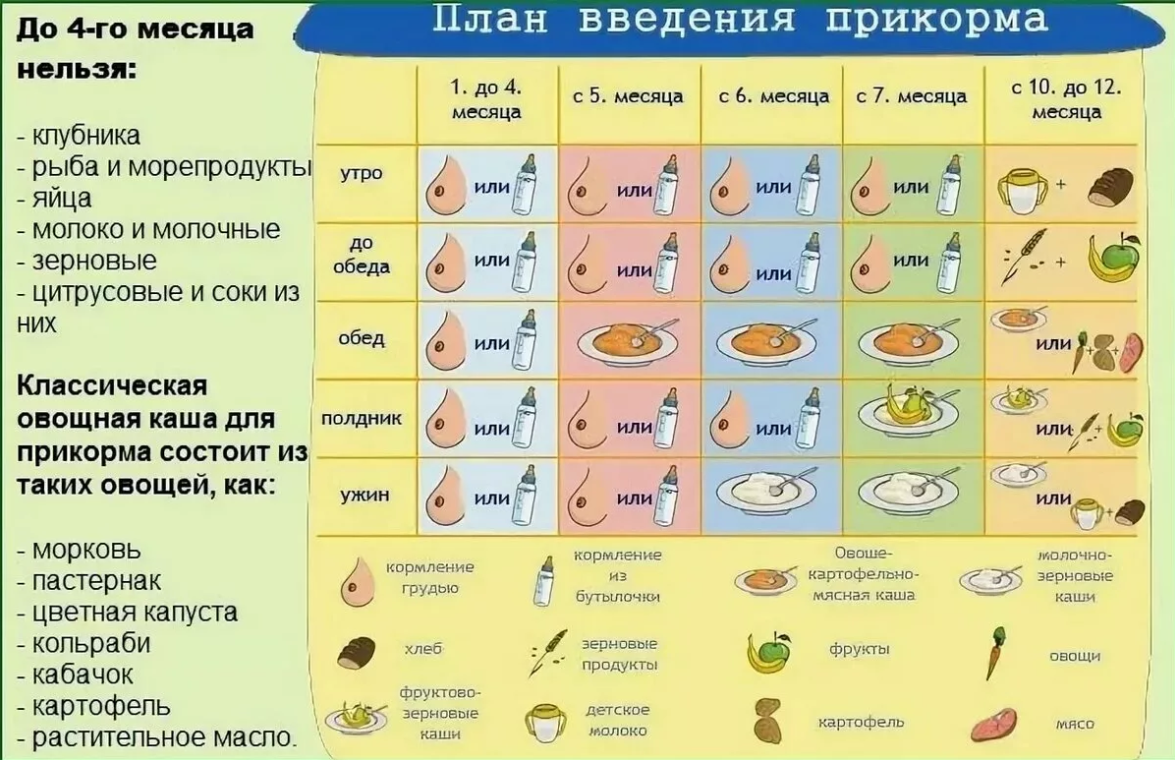 Со скольки можно давать черешню ребенку. Схема ввода прикорма при искусственном вскармливании с 4. Введение каши в прикорм ребенка в 6 месяцев. Схема ввода прикорма с 6. Схема введения прикорма с 6 месяцев