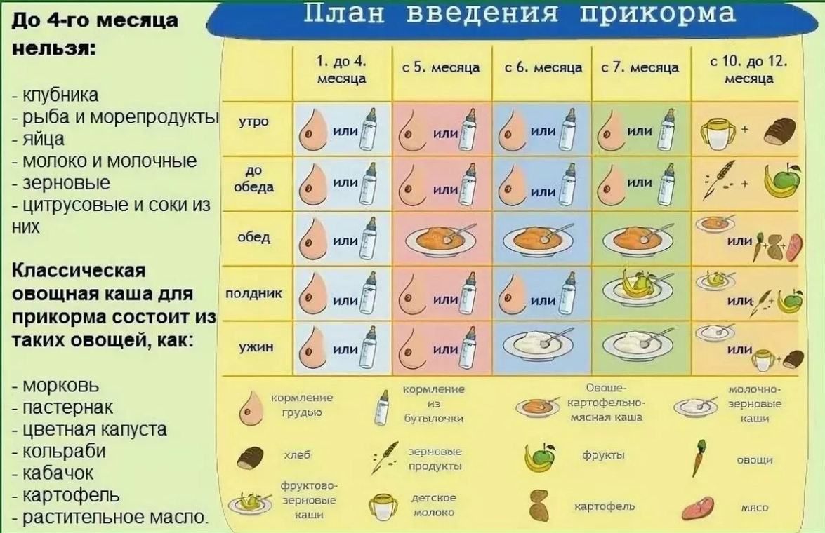 Какие каши можно давать. Схемы введения прикорма на грудном вскармливании с 6. Введение каши в прикорм ребенка в 6 месяцев. Схема прикорма 6 месячного ребенка. Таблица Введение прикорма грудничкам.