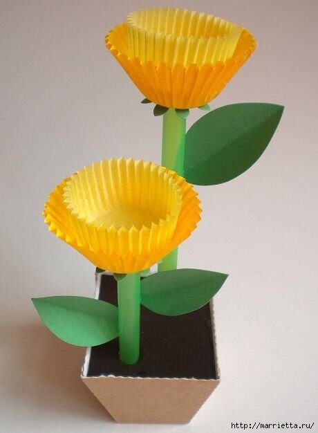 фото из открытого доступа Pinterest