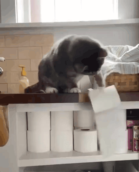 Жми на картинку, чтобы посмотреть видео. Источник: Одноклассники