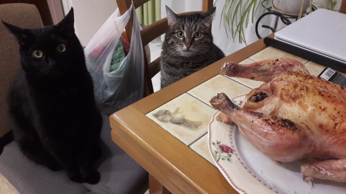 Вот так мы вяжем и едим 😆