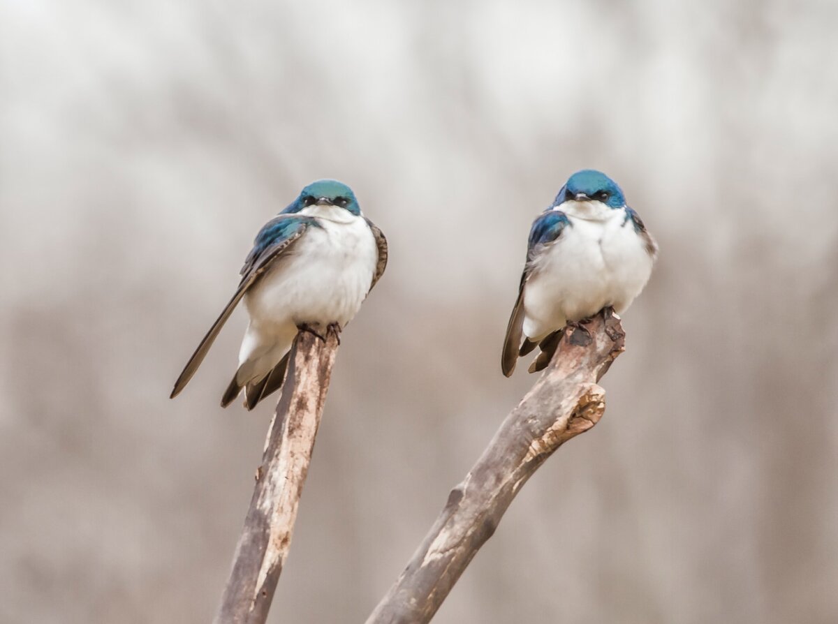 Photo by Dulcey Lima on Unsplash