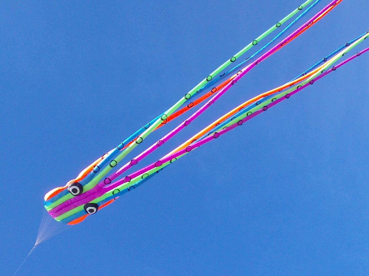 Фестиваль воздушных змеев, Питер, 2019