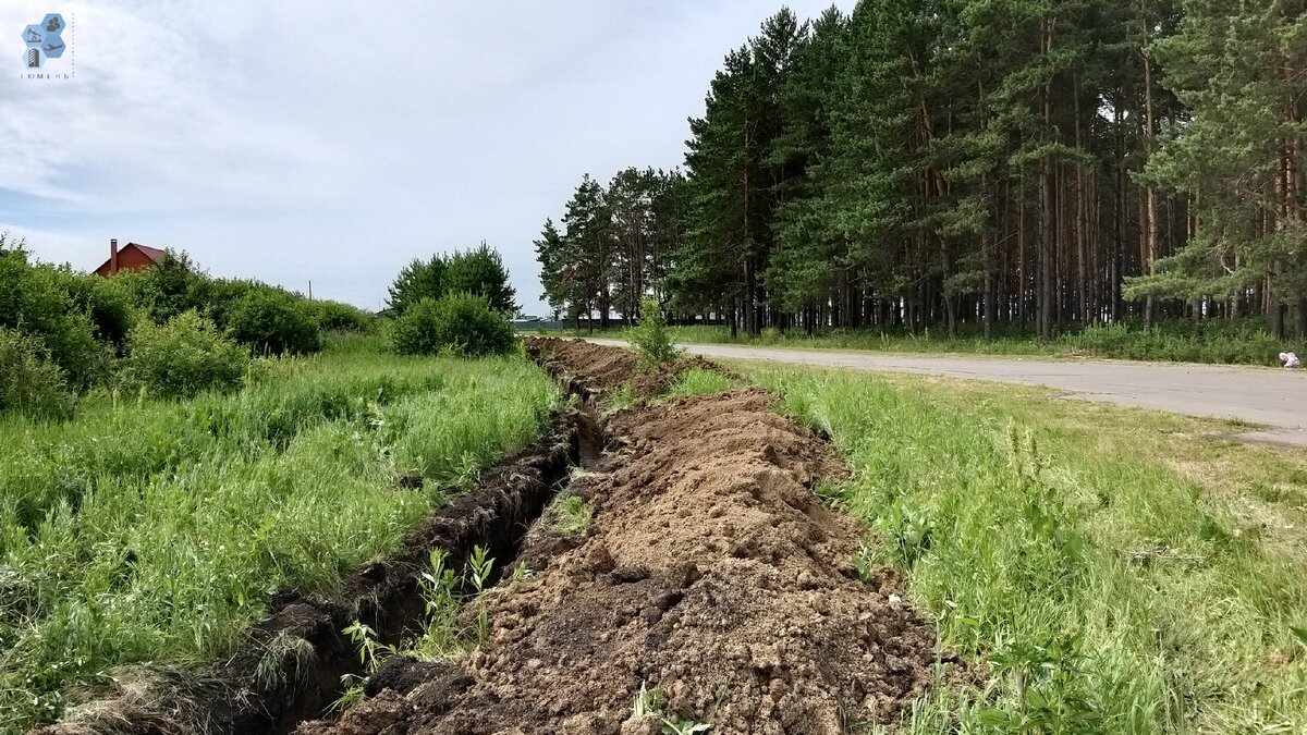 Вид в сторону посёлка. На этом участке траншея пустая.