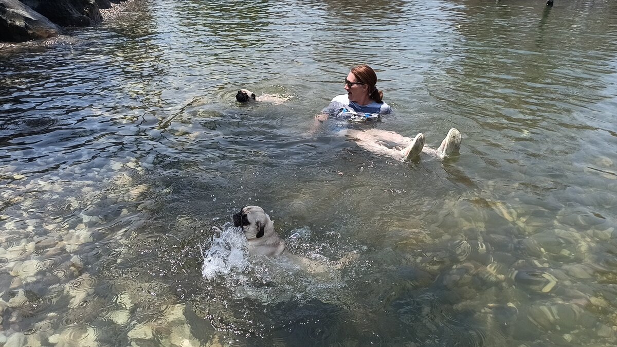 Фото снято лично автором канала КотоСобака