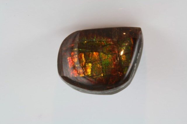 полированный аммолит из Канады