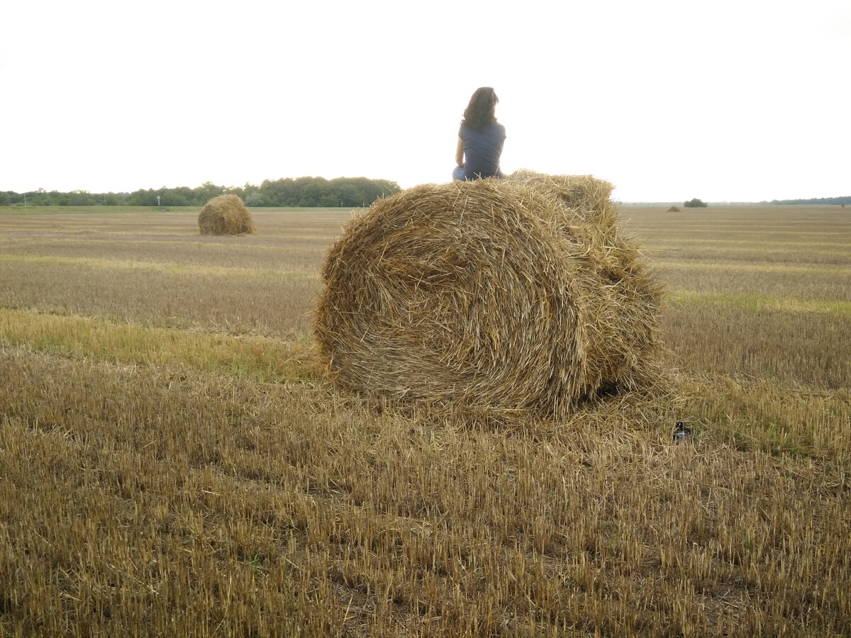 Нужна ли поддержка? Или можно обойтись без неё?