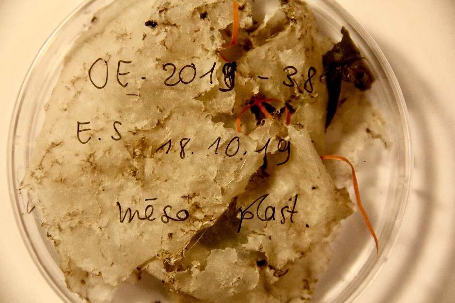 Образец мезопластика, найденного в озере.