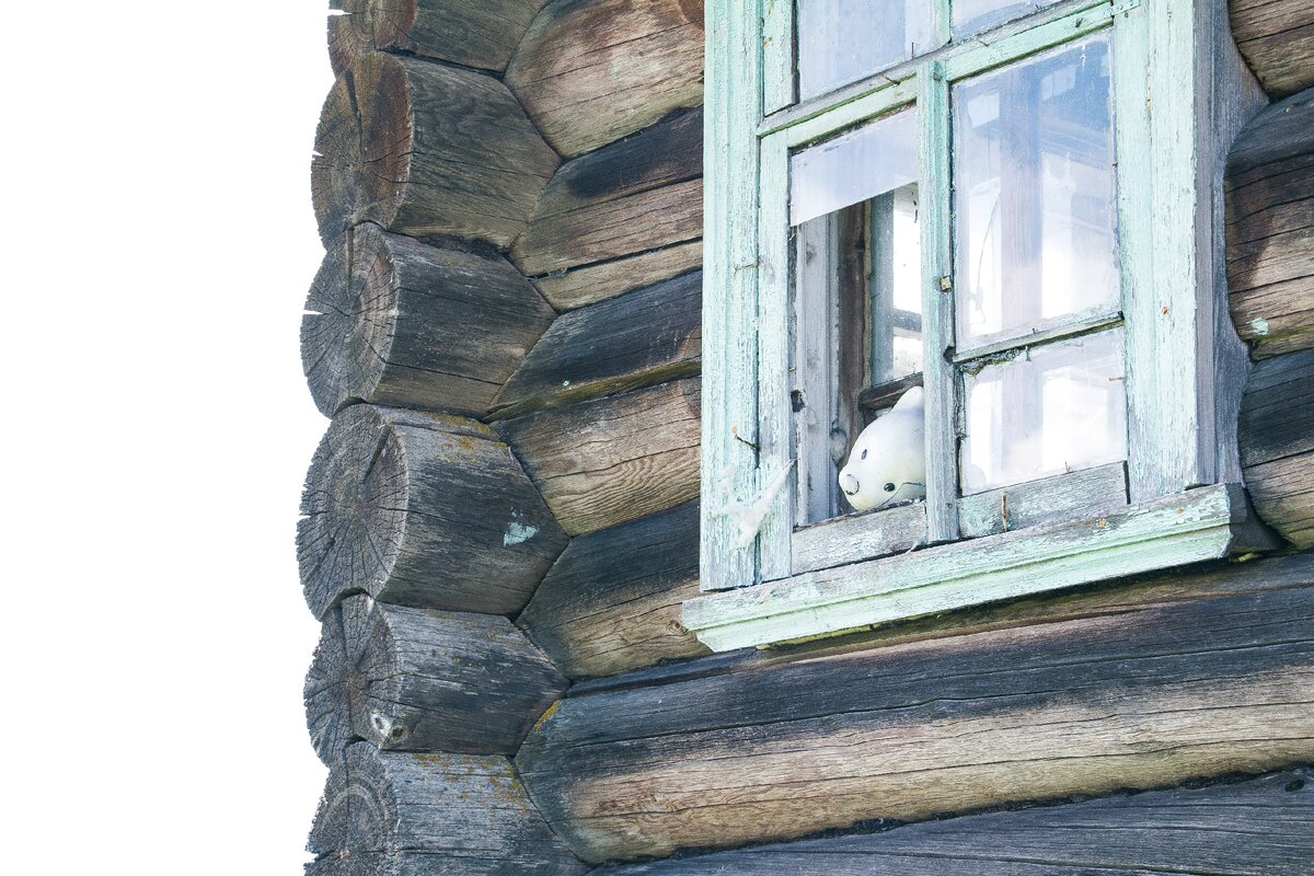 Кучепалда. Показываем, как изнутри выглядят заброшенные избы в ...