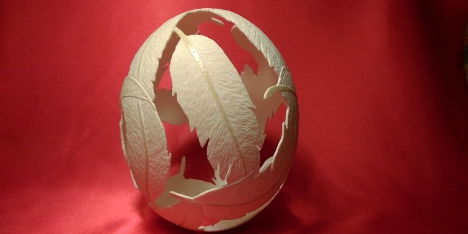 фото из свободного доступа