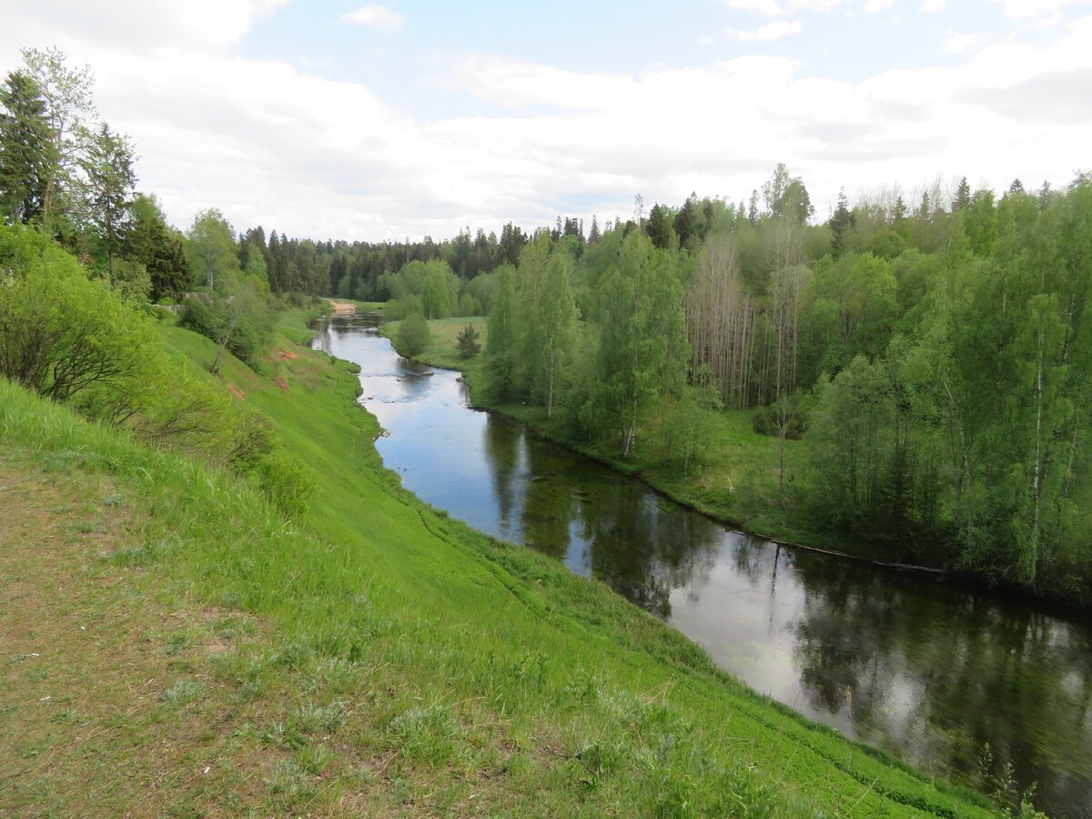 Река Оредеж в Тайцах