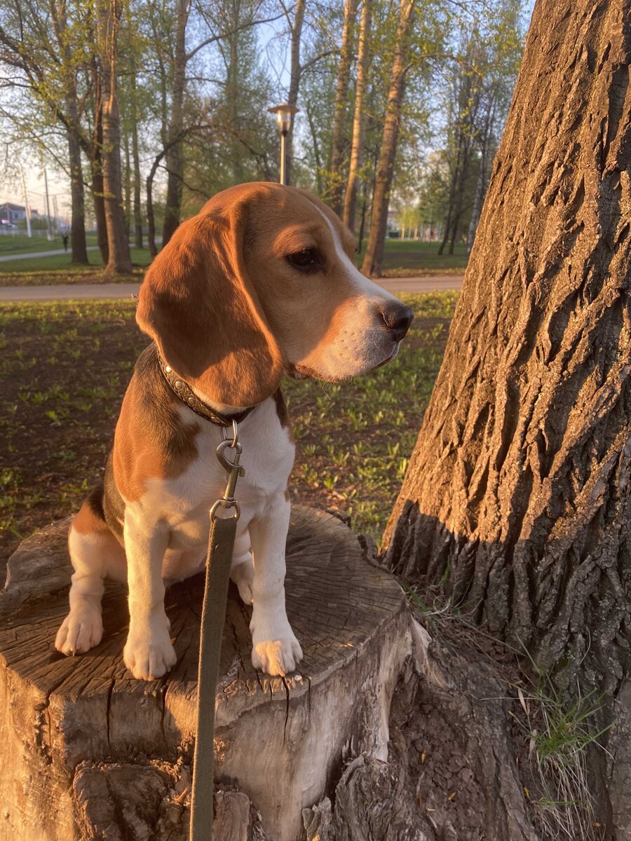 Выдержка от Рокси