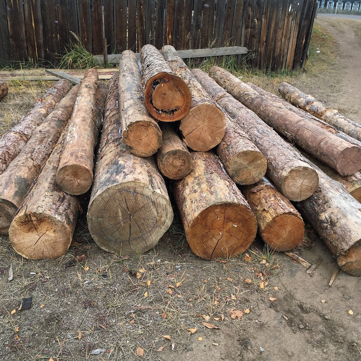 Купили машину кругляка