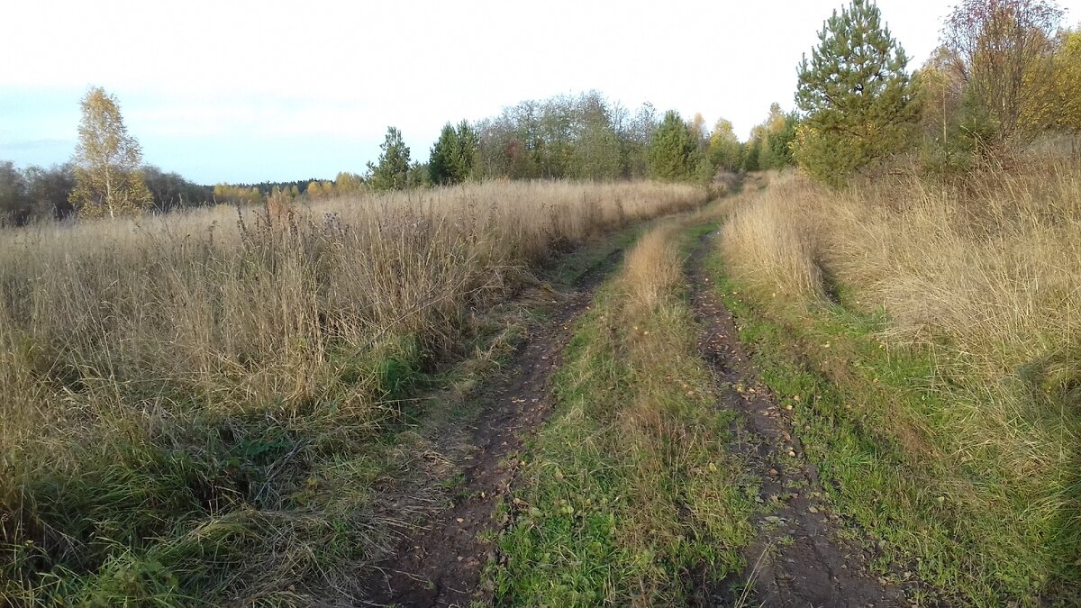 Терем в Погорелово - деревянный дворец в опустевшем краю | Загорелый  пассажир | Дзен