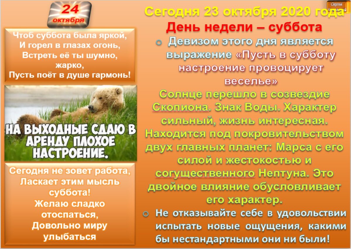 5 примет октября. 24 Июня приметы. Народные приметы 24 июня. Приметы связанные с животными. Варнава земляничник 24 июня.