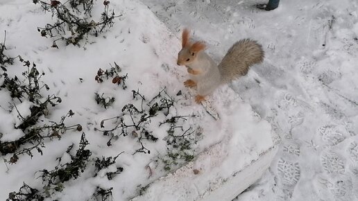 Слова из 6 букв первая К