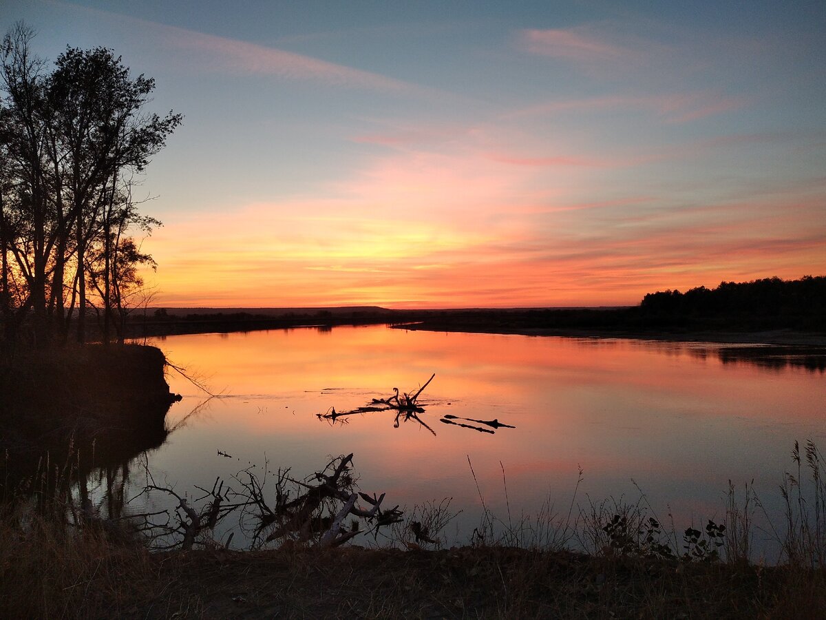 Бобровая заводь. Ну, это мы ее так называем, потому что по вечерам там часто купается одинокий бобёр. 