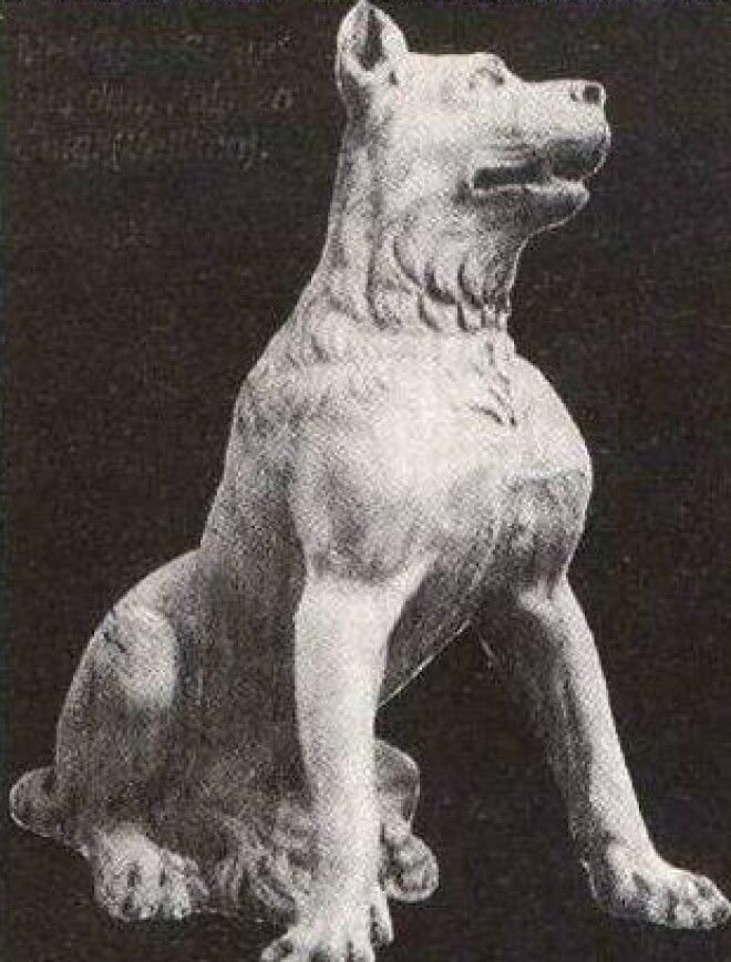 Отважный Соэтр