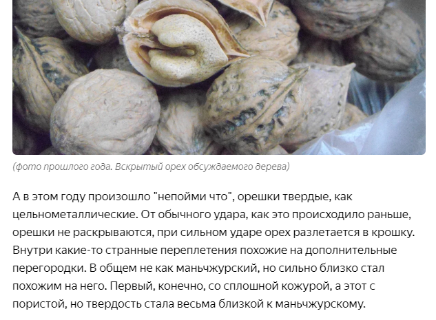 (скрин части предыдущей статьи)