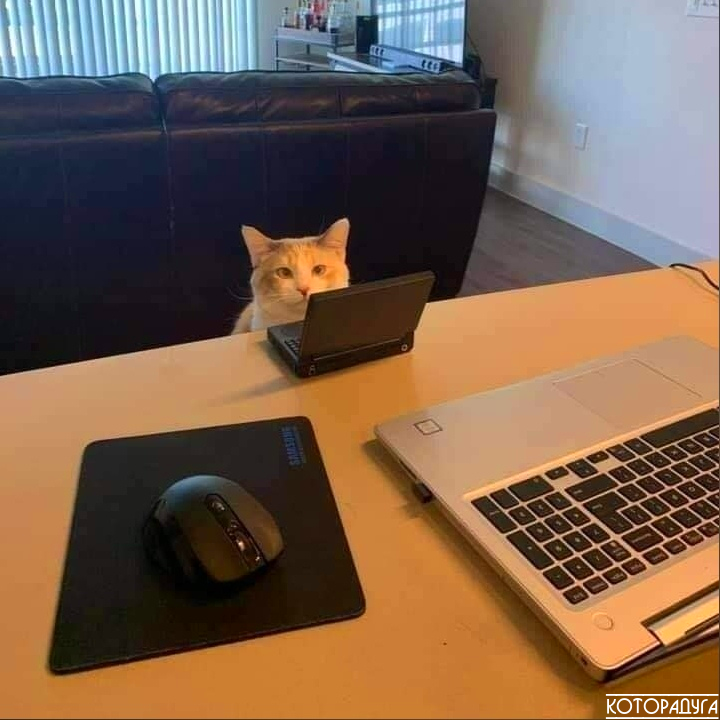 Источник: pinterest.com