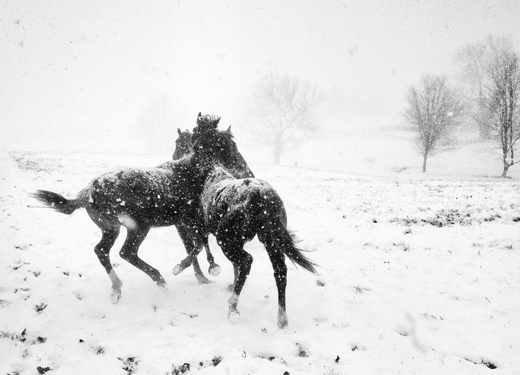 https://mobilephotoawards.com/