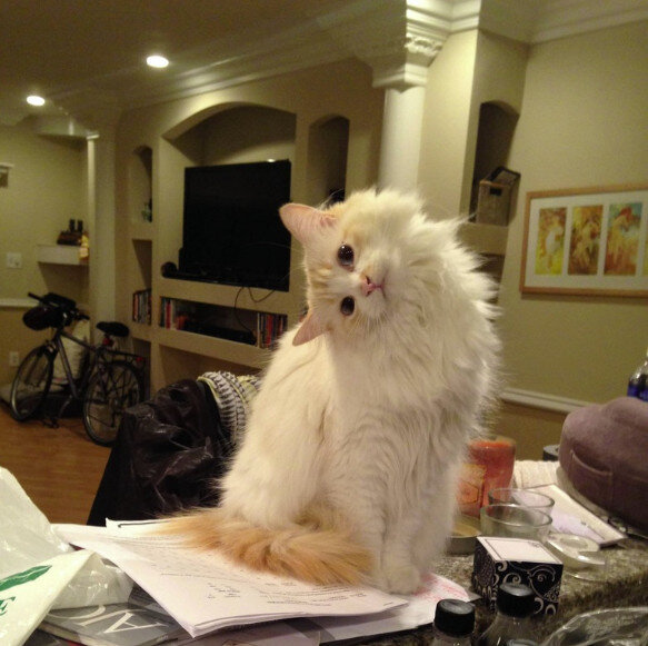 Источник: www.reddit.com