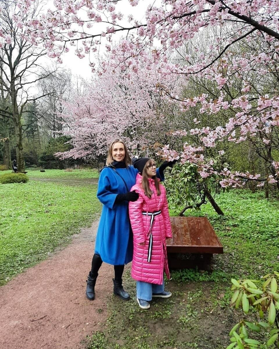 Японский сад Ботанического сада