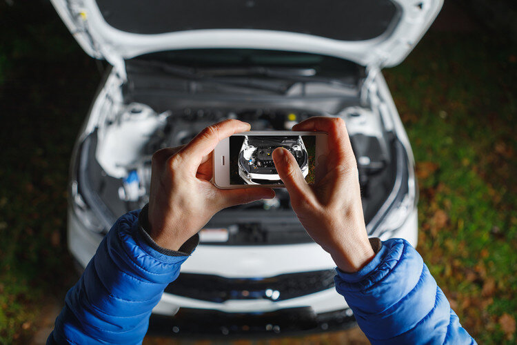 Фото из открытых источников.