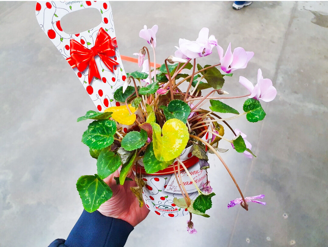 Может стоило всё же купить за 99 рублей-то?