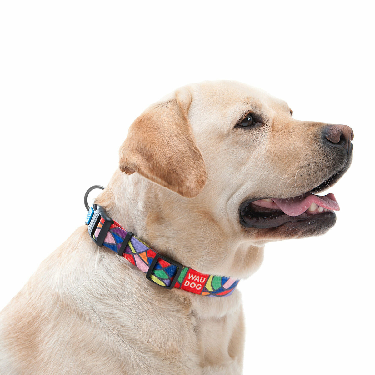 Источник изображения https://ru.waudog.com/