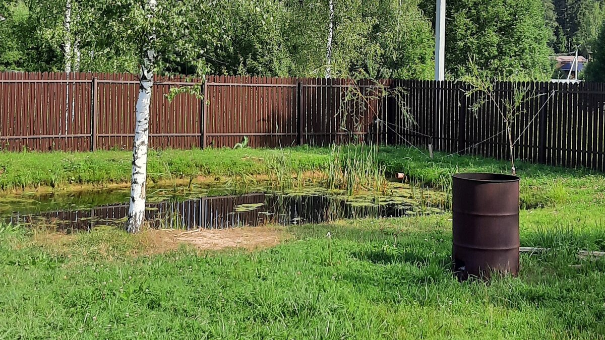 Наш персональный пруд.