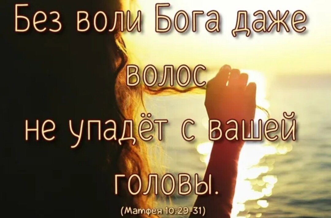 Без воли отца вашего. Без воли отца вашего. Ни один волос не упадет с головы вашей. Понятие свободы в христианстве. Матфея 10.