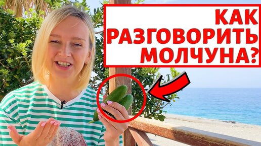 Скачать видео: Как разговорить молчуна?