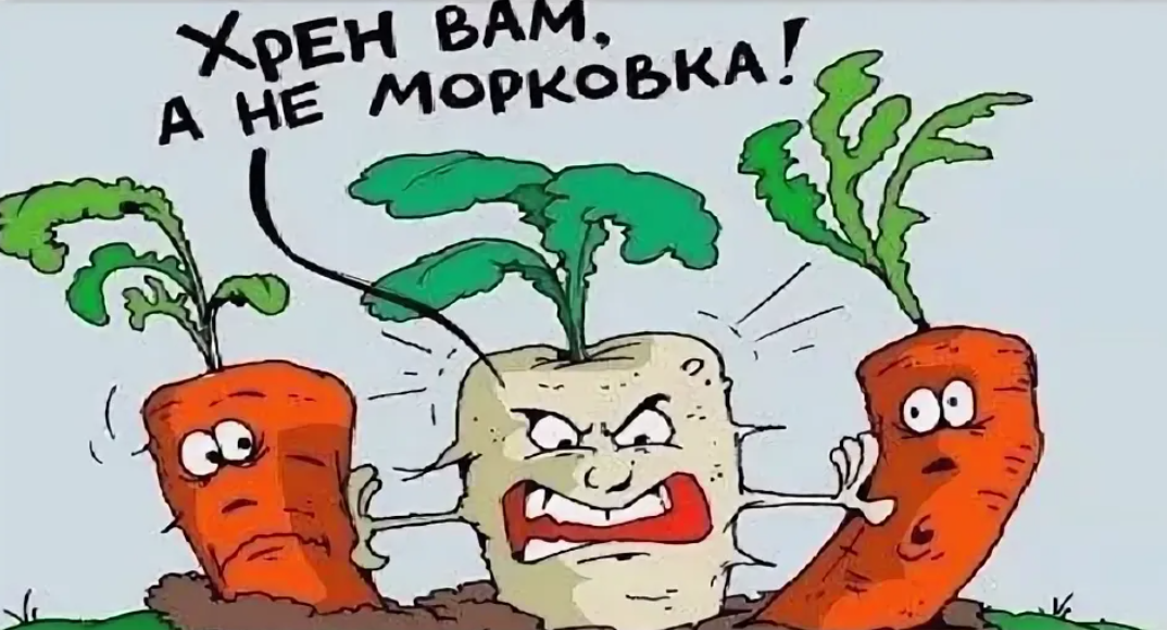 Морковь про кто лучше нарисует