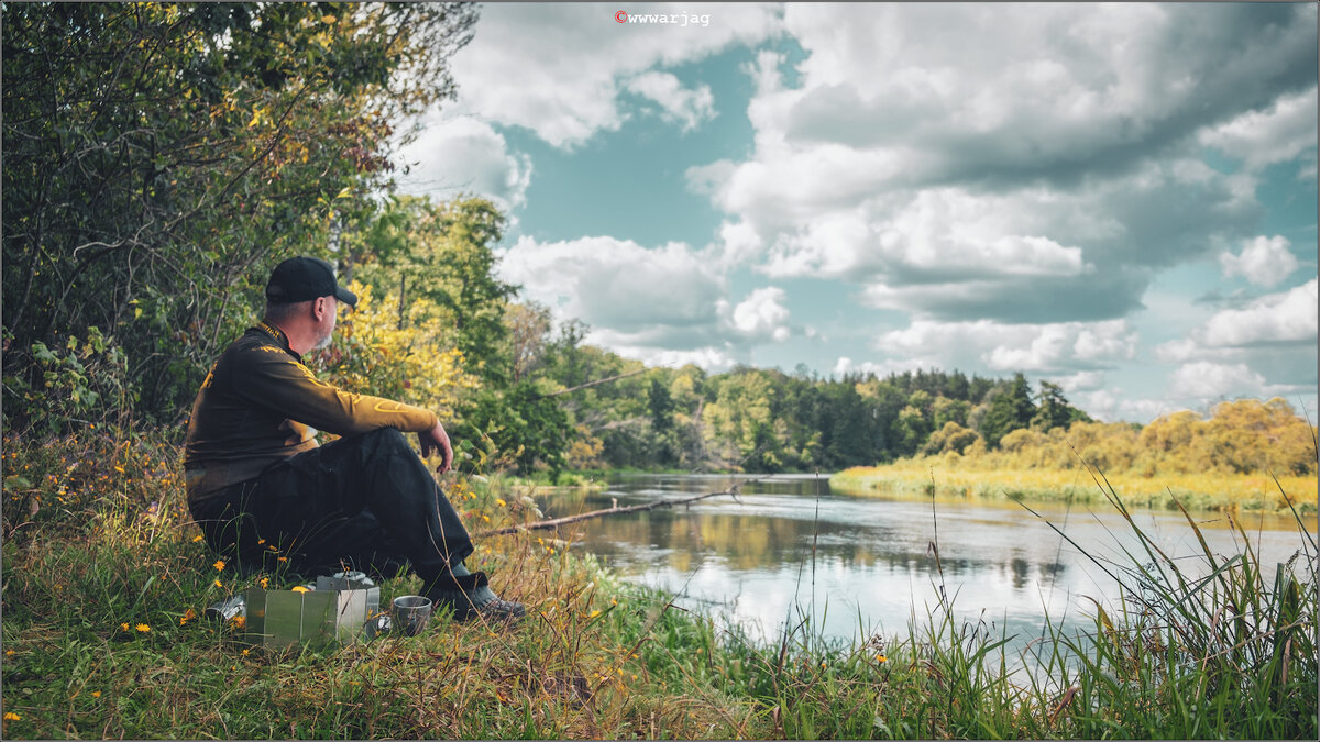 Фото из открытого источника Яндекс. Картинки