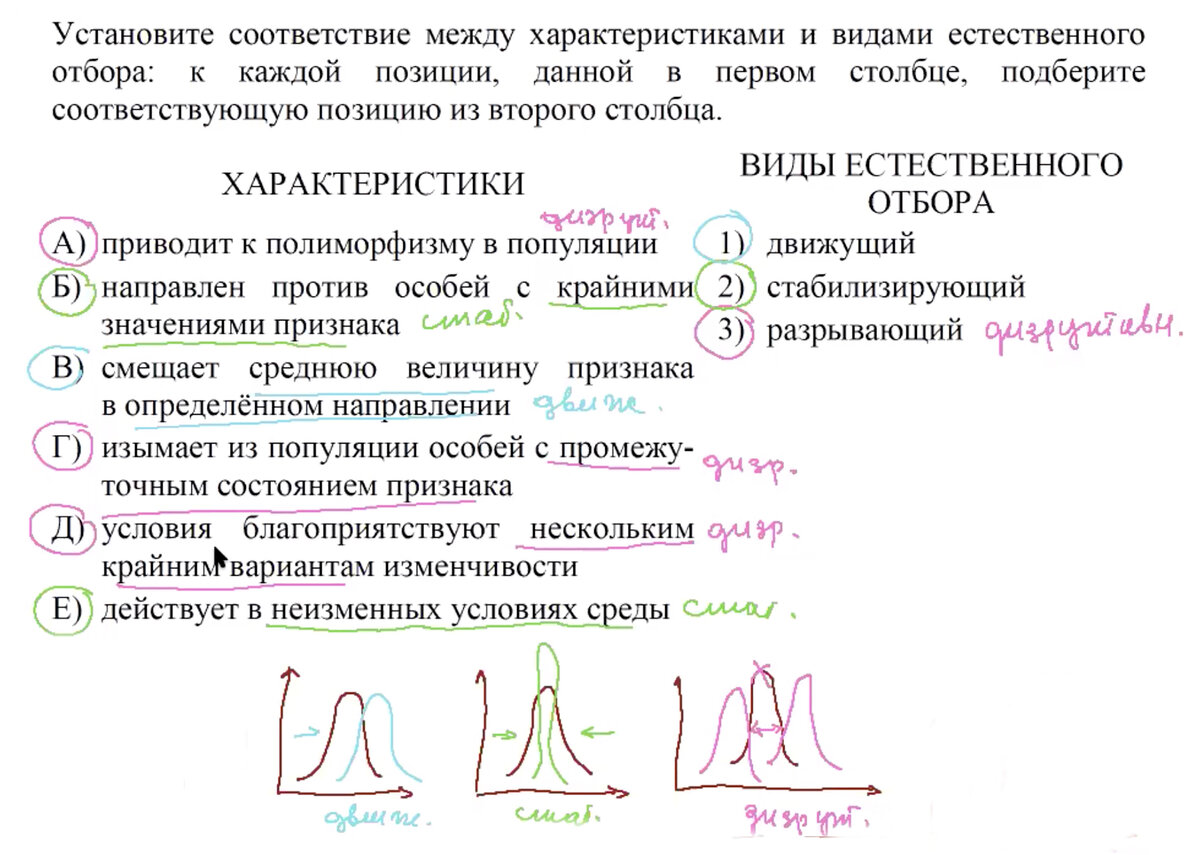 Анализ вопроса домашнего задания проводит репетитор кбн Богунова В.Г.