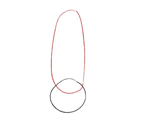 Упражнения для рисования носа