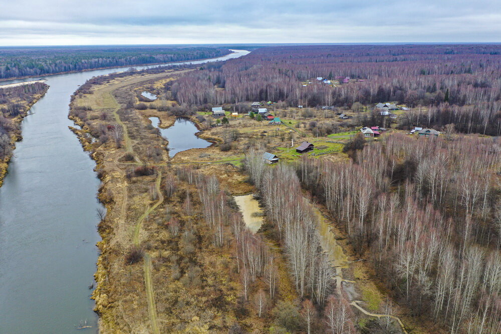 Ветлуга отзывы